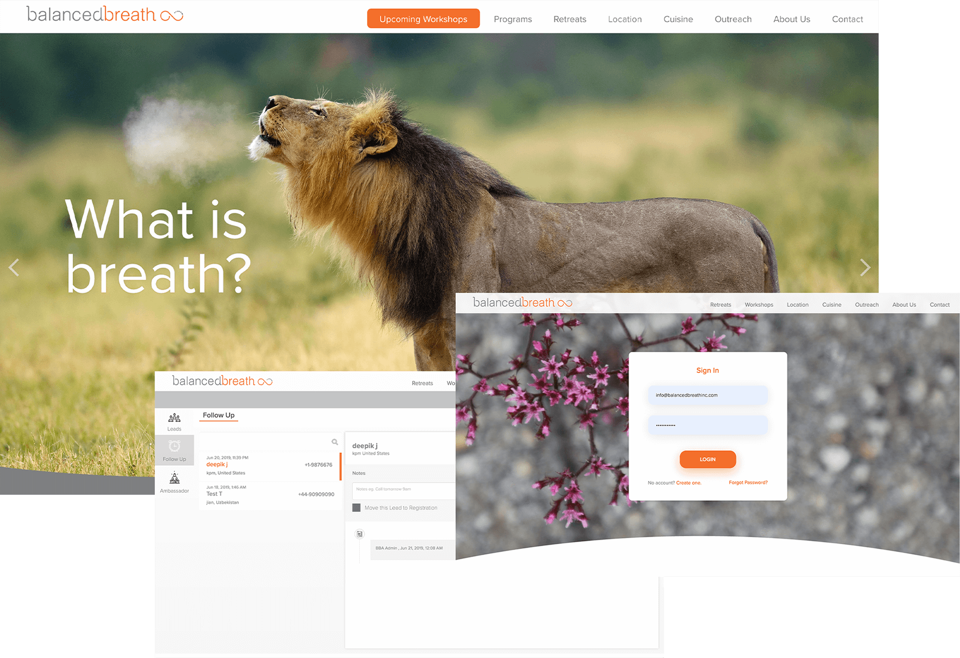Website Design &Amp; Dev, Brands, Cause Marketing And Public Art 5 Balancedbreath